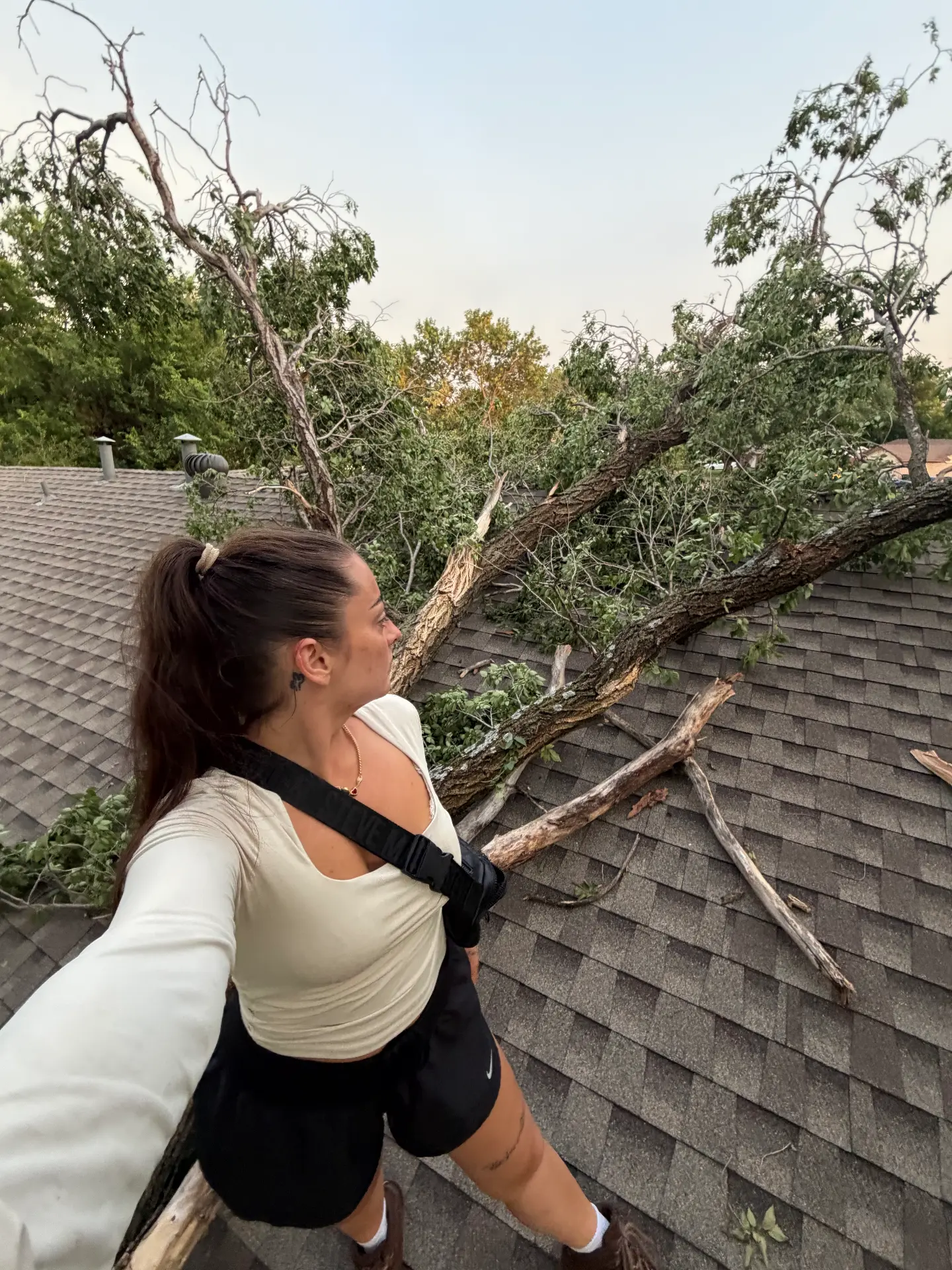 A fallen tree resting across a shingle roof after a storm