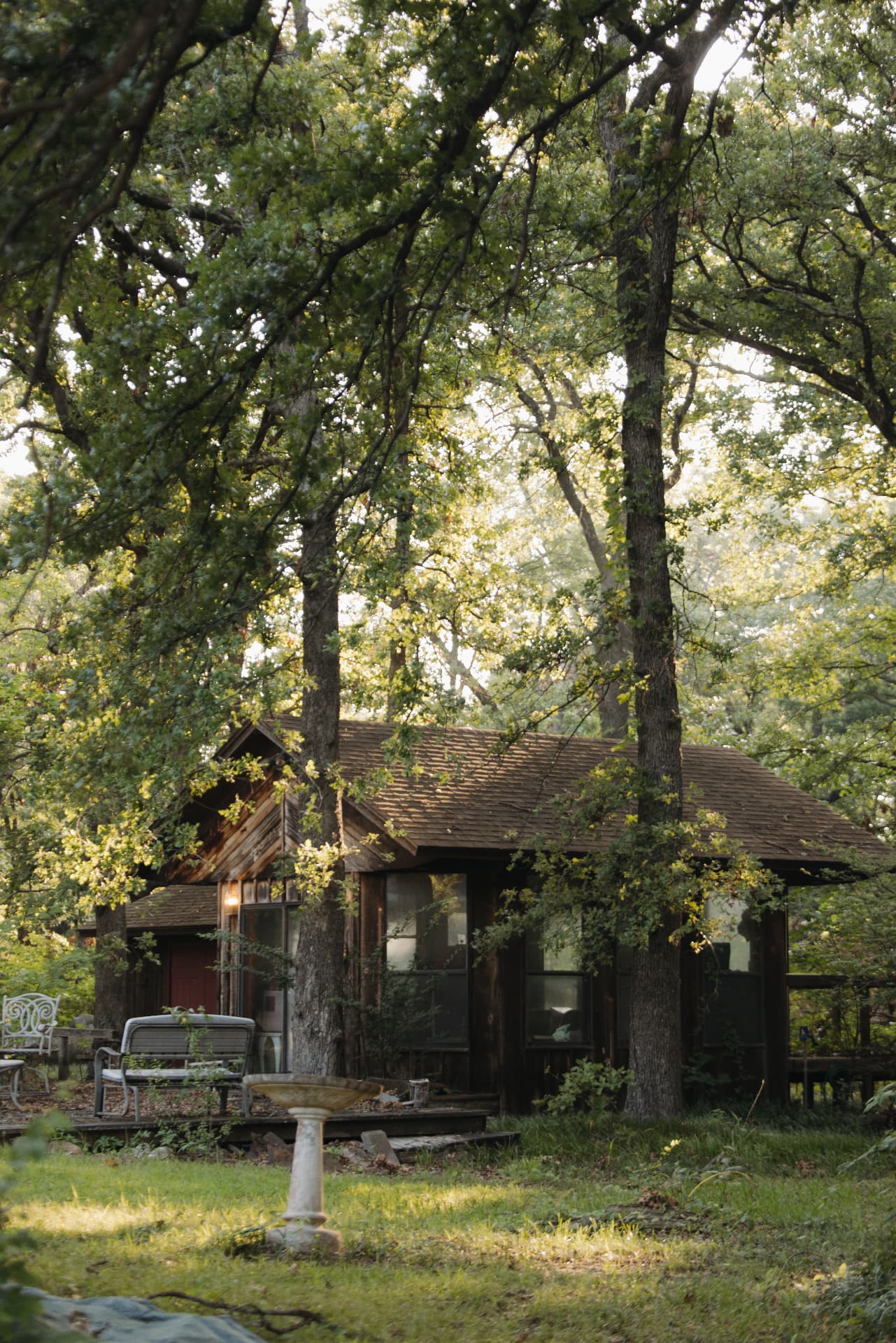 A wooded home with a fresh roof under tall oaks