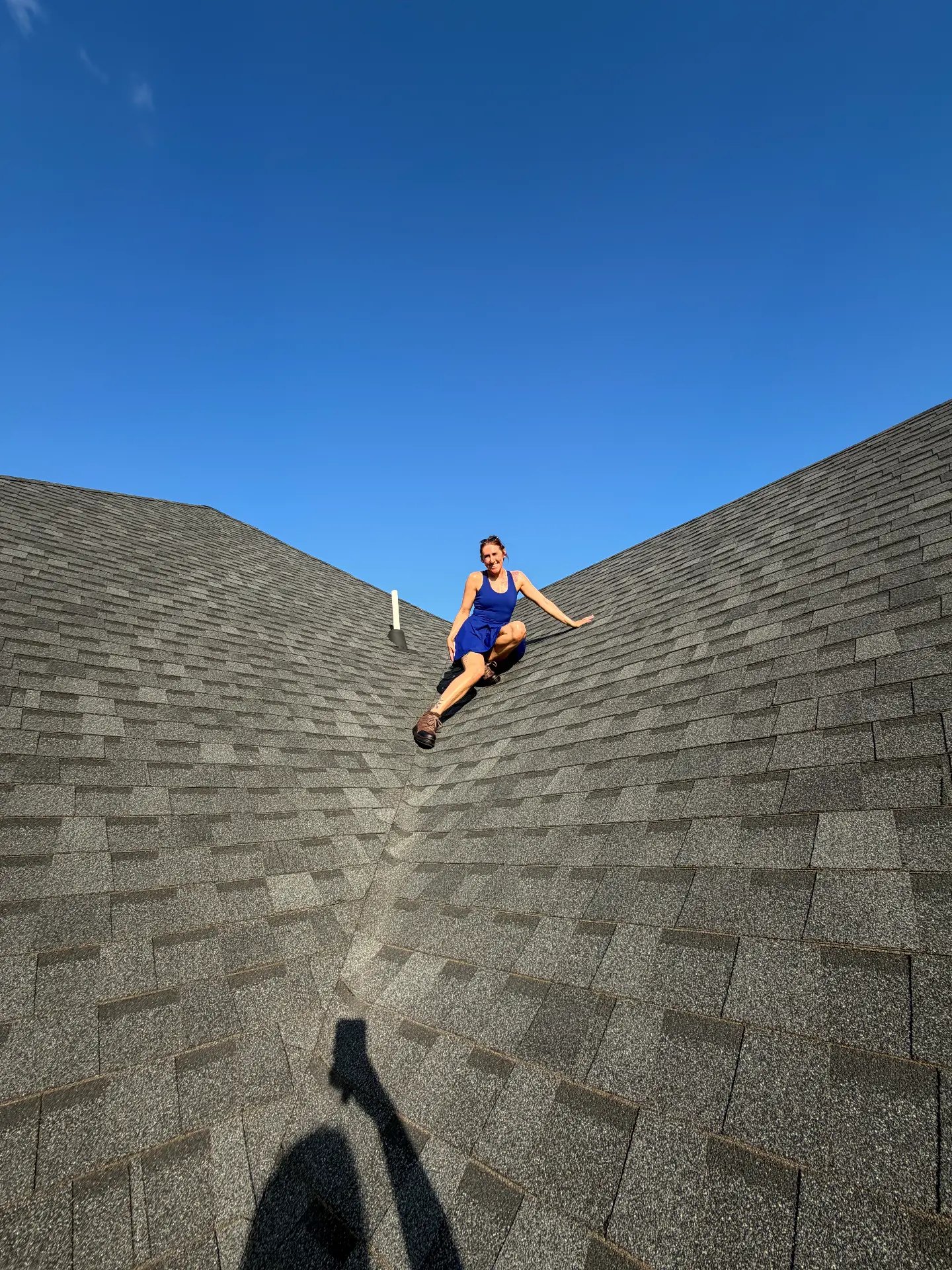 Sitting in the valley of a steep shingle roof