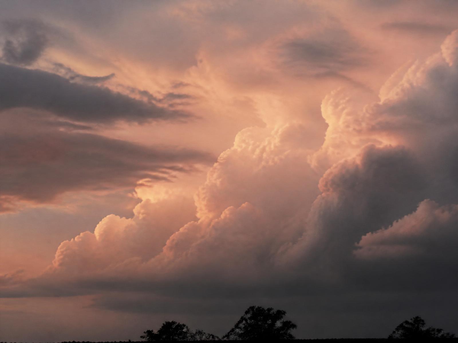 Storm Restoration